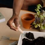 How to Start a Small Indoor Herb Garden: A Beginner’s Guide