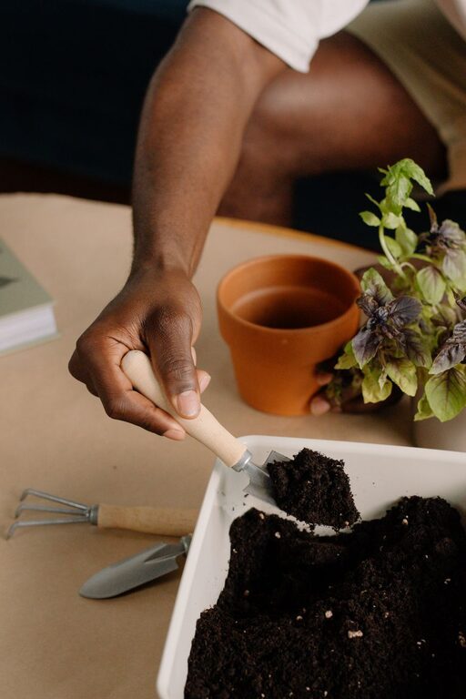How to Start a Small Indoor Herb Garden: A Beginner’s Guide